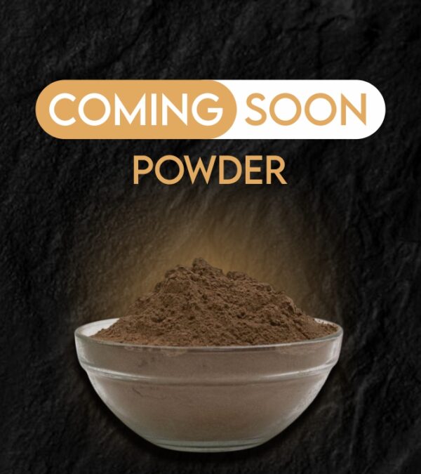 Shilajit powder